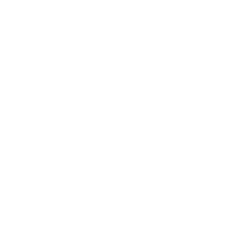 Tomazini