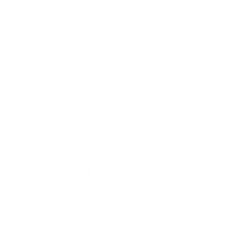 Pontual